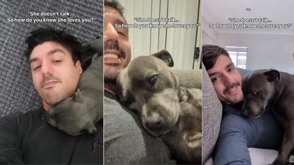 Staffy’s Love for Dad Extends Beyond What She Could Ever Say With Words