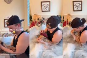 Dad Gives His Childhood Dog of 16 Years a Warm, Well-Deserved Bath