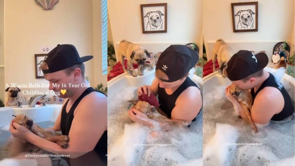Dad Gives His Childhood Dog of 16 Years a Warm, Well-Deserved Bath