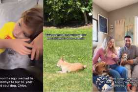 Family Is Lost After Losing Beloved Dog Until Someone New Fits the Puzzle