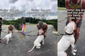 Shelter Dog’s Unexpected Gesture to Family After Adoption Is Tear-Jerking