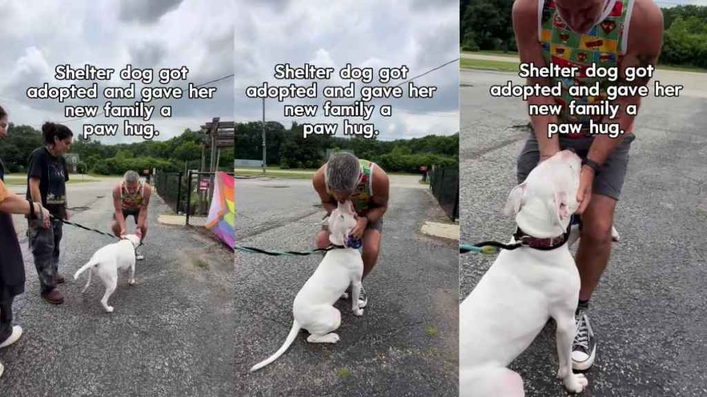 Shelter Dog’s Unexpected Gesture to Family After Adoption Is Tear-Jerking
