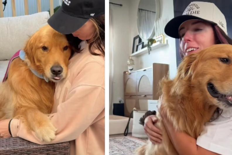After Owner Teaches Golden Retriever a Trick, It’s All He Does