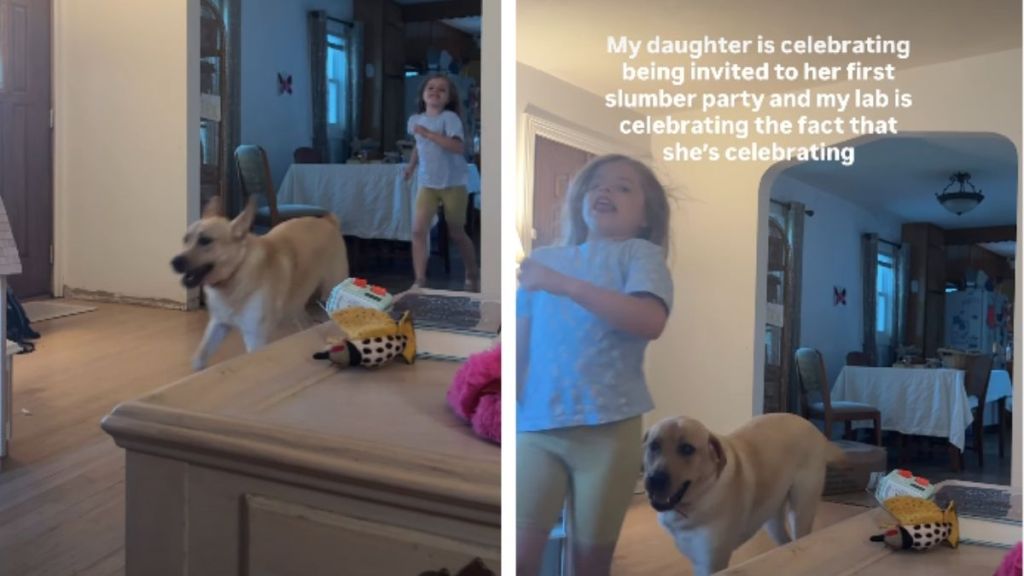 Labrador Proves To Be the Best ‘Hype Man’ for Sister’s New Milestone