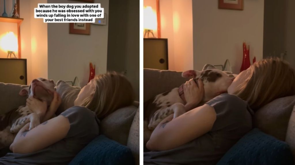 Owner Thinks Adopted Dog Is Obsessed With Her, but He Proves Her Wrong