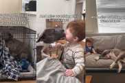 Rescue Dog Falls in Love With Little Baby Like They’re Soulmates & It’s Truly Magical