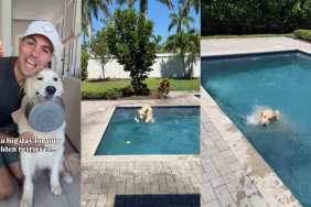 Golden Retriever Reunited With Pool After a Month Unleashes Utter Chaos