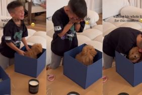 Tiny Puppy Becomes a Surprise Little Boy Waited All His Life for & It Doesn’t Get Better