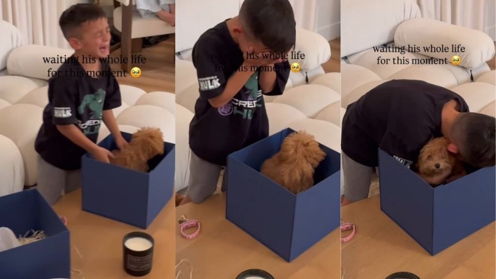 Tiny Puppy Becomes a Surprise Little Boy Waited All His Life for & It Doesn’t Get Better