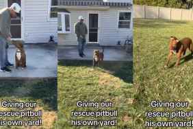 Rescue Dog Who Lived Behind Shelter Walls Can’t Contain Joy After Getting His Own Yard