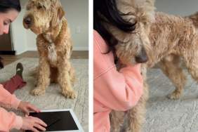 Dog Senses Mom's Pain & Comforts Her as She Breaks Down