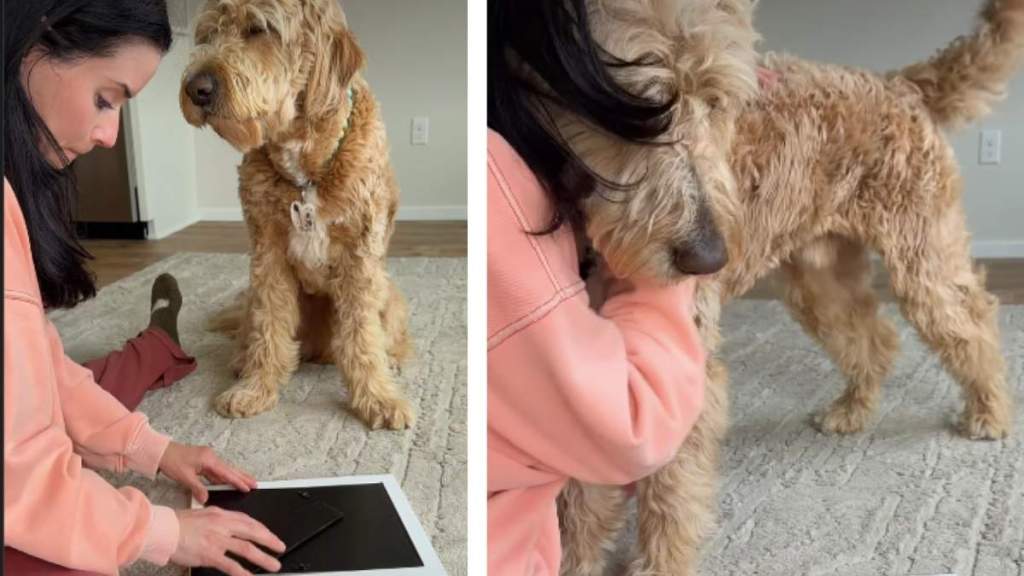 Dog Senses Mom's Pain & Comforts Her as She Breaks Down