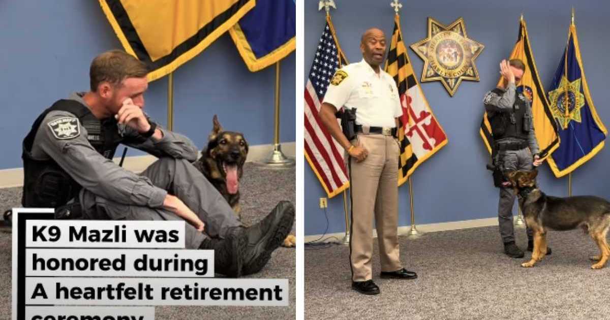 K9 Is Honored With Heartfelt Retirement Ceremony as His Partner Gets Emotional