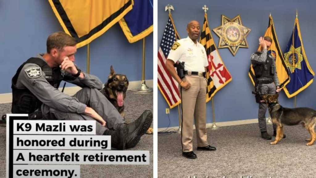 K9 Is Honored With Heartfelt Retirement Ceremony as His Partner Gets Emotional