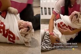 Mom Practices Swaddling on '80-Pound Bulldog' Before Baby Arrives