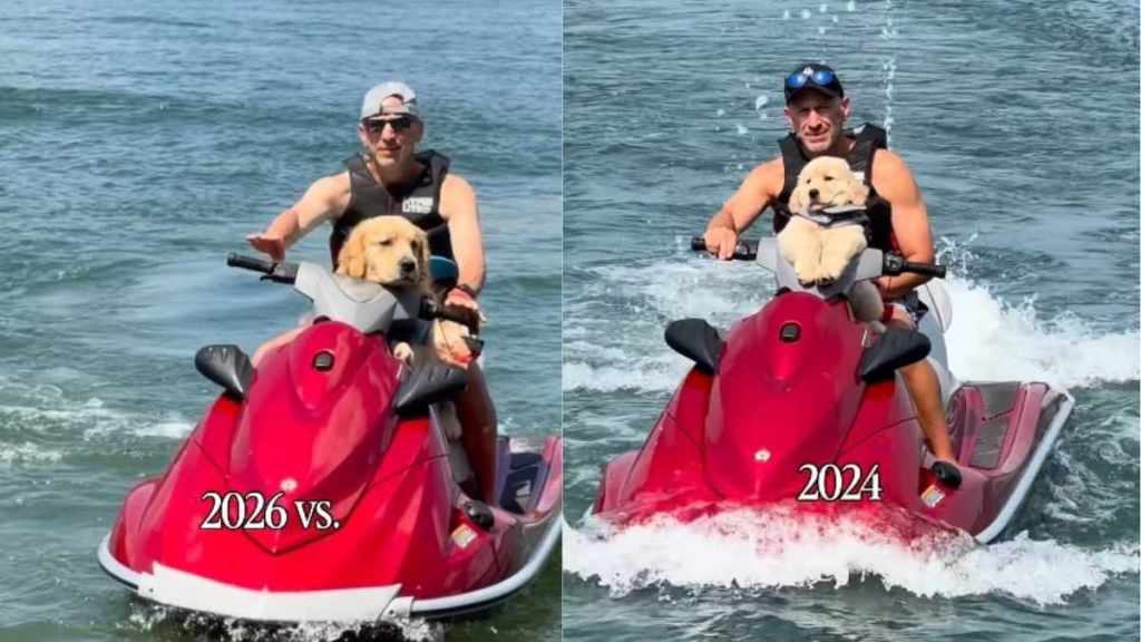 Golden Retriever Was a Baby When He Started Jet Skiing With Dad & Nothing’s Changed