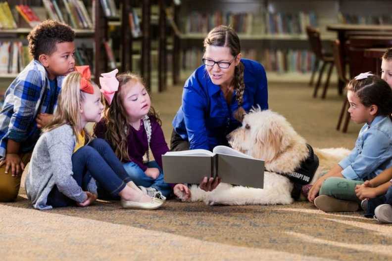 How Therapy Dogs Help Support Students’ Mental Health in US Schools