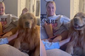 ‘Velcro’ Golden Retriever Helps Human Get Over Fear of Dogs