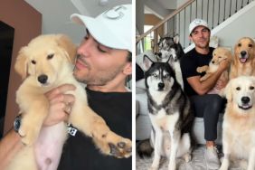 Owner Foster Fails & Adopts Puppy Into a Home Filled With Dogs