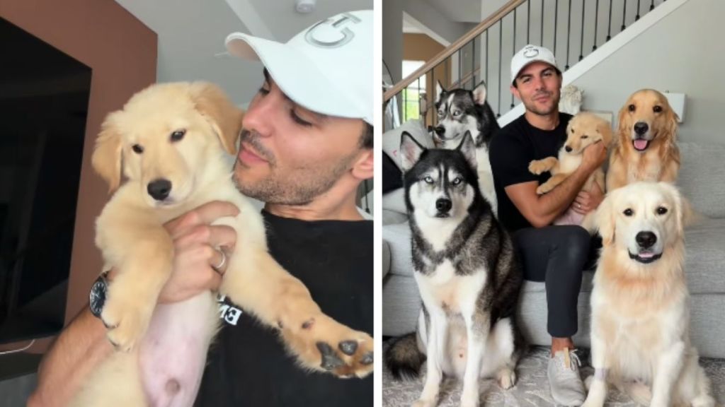 Owner Foster Fails & Adopts Puppy Into a Home Filled With Dogs