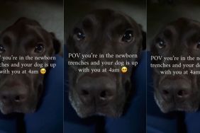 Dog Refuses To Sleep While Mom Cares for Newborn Baby & It’s a Beautiful Sight