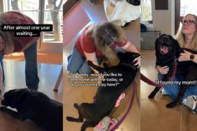 Shelter Dog’s Long Wait for Love Ends With the Mom Who Drove Hours To Take Him Home