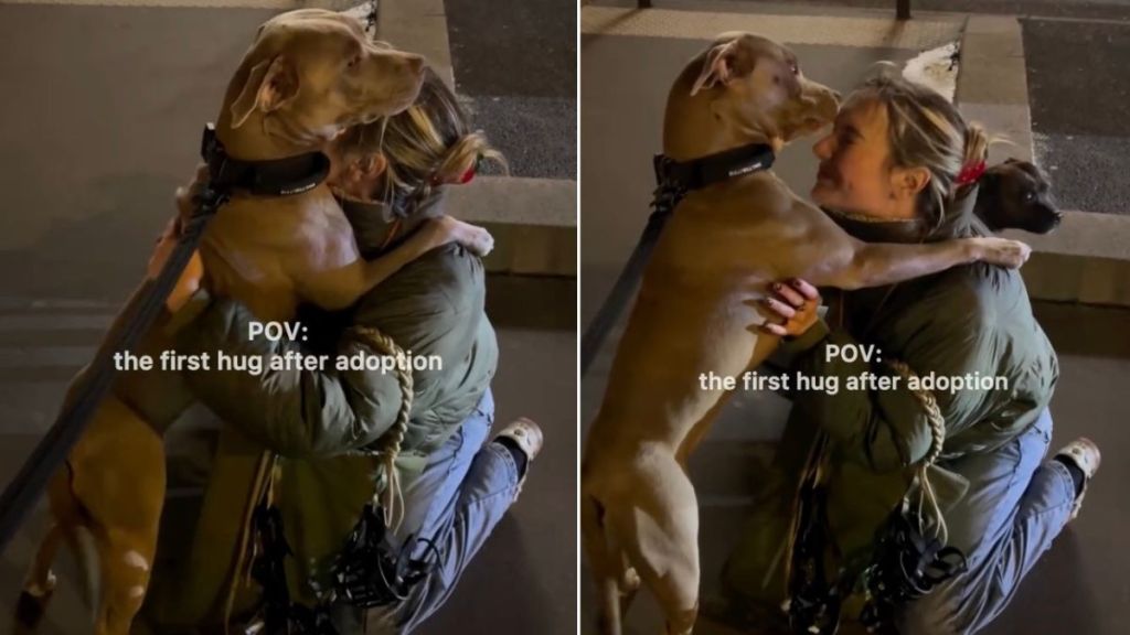 Rescue Dog Clings to Mom as They Hug After Adoption Like She’s Afraid of Being Left Behind