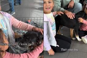 Rescue Puppy & Little Girls Find Each Other in a Surprise Mom Knew They Needed