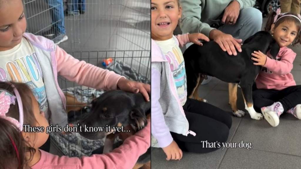 Rescue Puppy & Little Girls Find Each Other in a Surprise Mom Knew They Needed