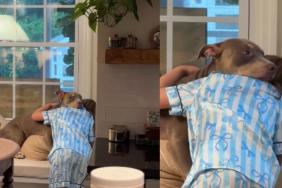 Rescue Dogs Find Their Safe Space in Bonding With Little Girls