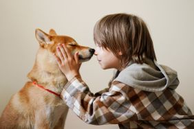 ‘Specially Trained’ Dogs Are Making Hospital Stays Less Scary for Kids