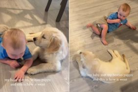 Golden Retriever Puppy Meets Little Baby & It’s Like They Were Meant To Find Each Other