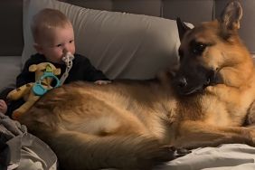 Dog & Little Boy Share the Sweetest Look Before Melting Into a Cuddle