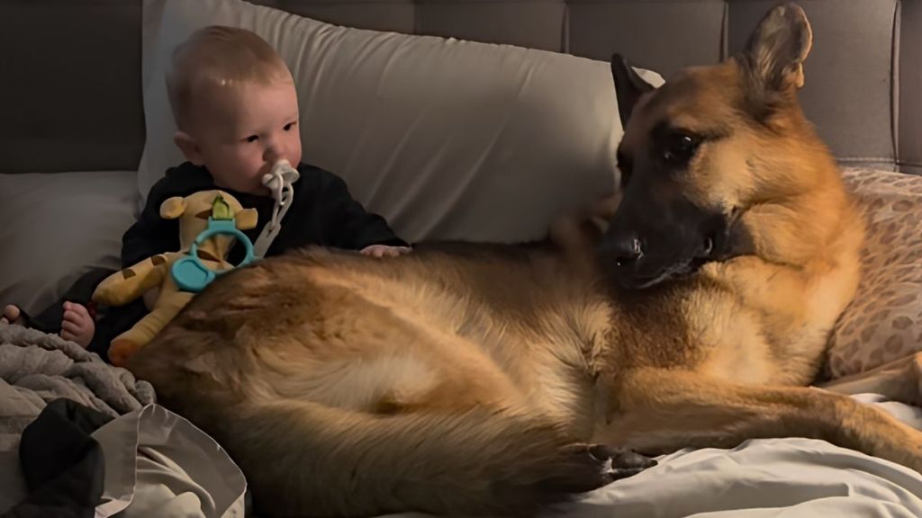 Dog & Little Boy Share the Sweetest Look Before Melting Into a Cuddle