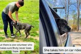 Senior Shelter Dog Has Spent Half His Life Inside a Kennel With Two Heartbreaking Titles
