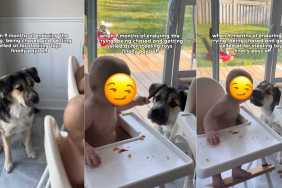 Dog Patiently Waited for Human’s Baby To Arrive & It Finally Paid off in the Sweetest Way