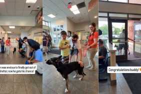 Shelter Dog Lived Anxiously Until a Loving Family Welcomed Him With Open Arms