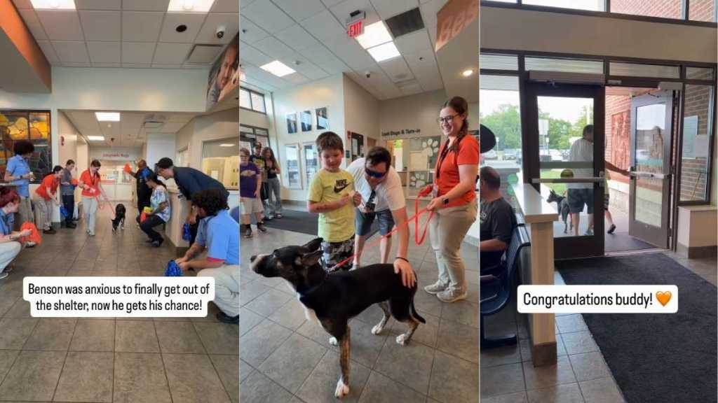 Shelter Dog Lived Anxiously Until a Loving Family Welcomed Him With Open Arms