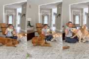 Mom Includes Three Curious Golden Retrievers in Baby's Fun Activity