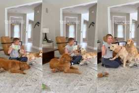Mom Includes Three Curious Golden Retrievers in Baby's Fun Activity