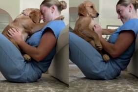 Golden Retriever human