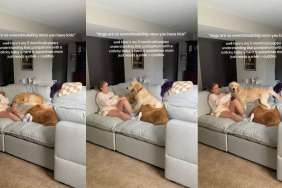 Golden Retrievers Comfort Postpartum Mom With Baby Using Skills They Know Best