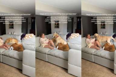 Golden Retrievers Comfort Postpartum Mom With Baby Using Skills They Know Best