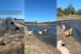 Toddler Knows Golden Retriever Will Keep Her Safe at the Lake, Then Makes Her a Promise