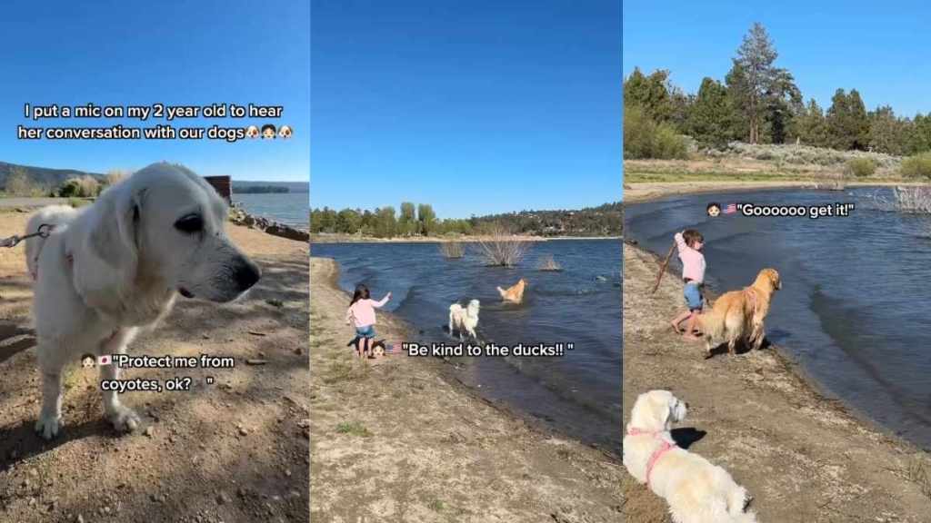 Toddler Knows Golden Retriever Will Keep Her Safe at the Lake, Then Makes Her a Promise