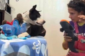 Shelter Dog Refuses Food Not Because He’s ‘Picky’ but for a Heartbreaking Reason