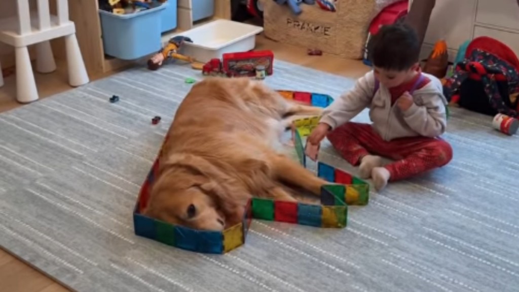 Golden Retriever Is Part of Toddler’s Artwork During Playdate