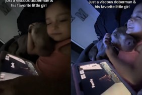 ‘Vicious’ Big Dog Snuggles With Little Girl, Showing a Side of Him the World Refuses To See