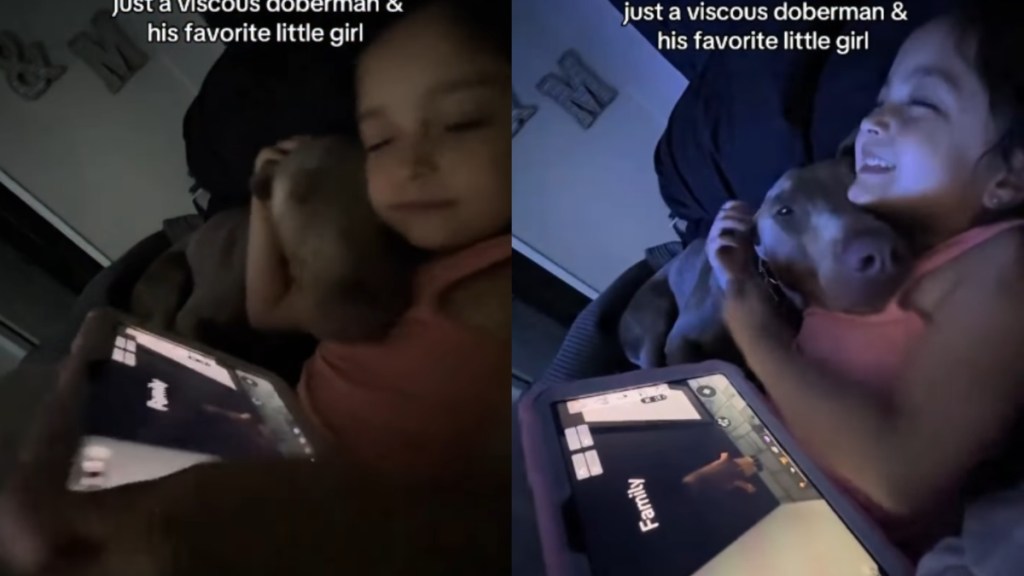 ‘Vicious’ Big Dog Snuggles With Little Girl, Showing a Side of Him the World Refuses To See