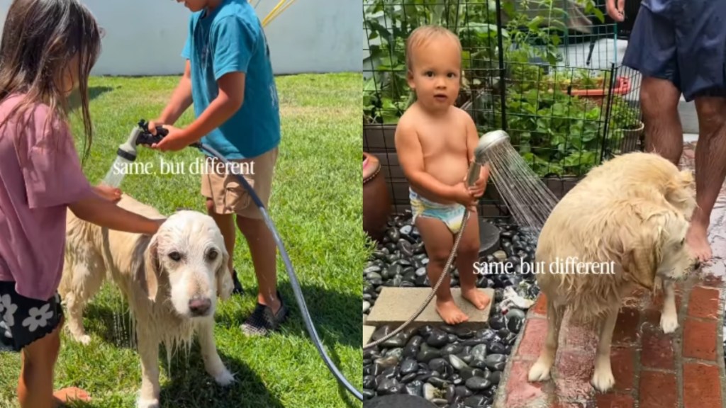 Golden Retriever's Backyard Shower With Toddlers Turns Into a Walk Down Memory Lane